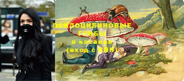 шишки Новочеркасск