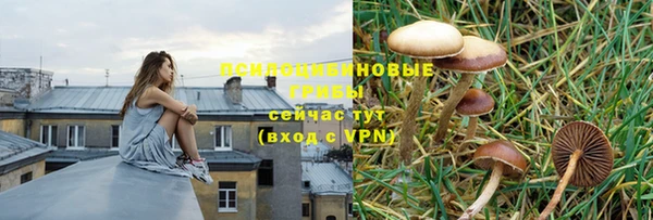 индика Болхов