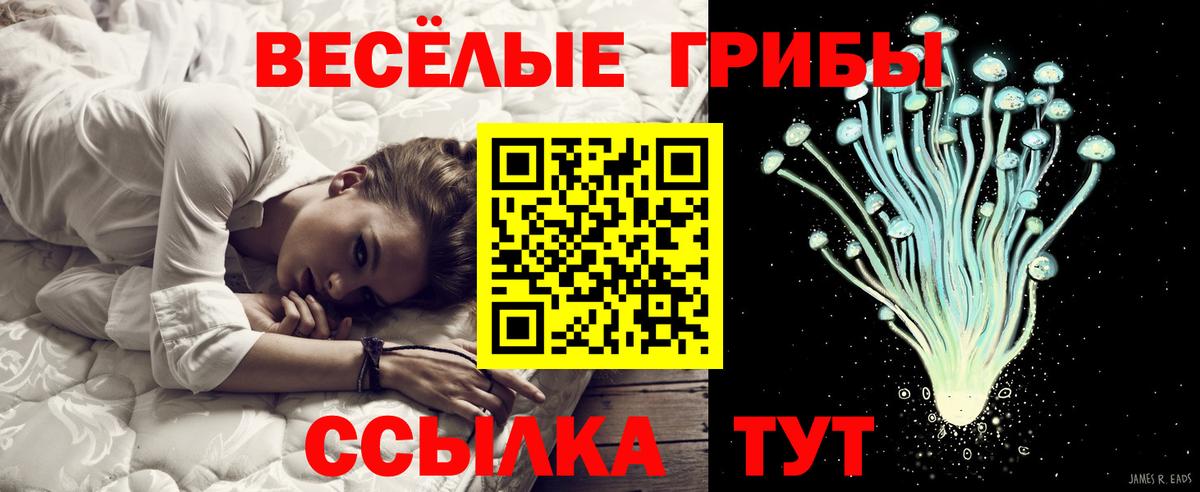 Архангельск  Псилоцибиновые грибы Cubensis  Вход с VPN 