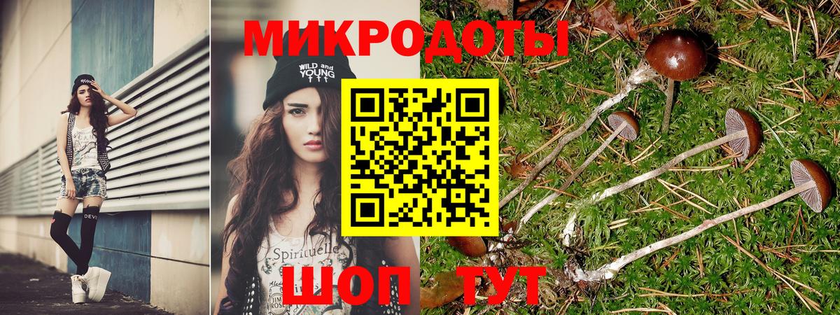 Галлюциногенные грибы MAGIC MUSHROOMS  Галлюциногенные грибы GOLDEN TEACHER  Архангельск 