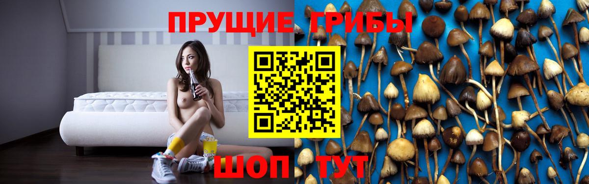 Галлюциногенные грибы GOLDEN TEACHER Архангельск